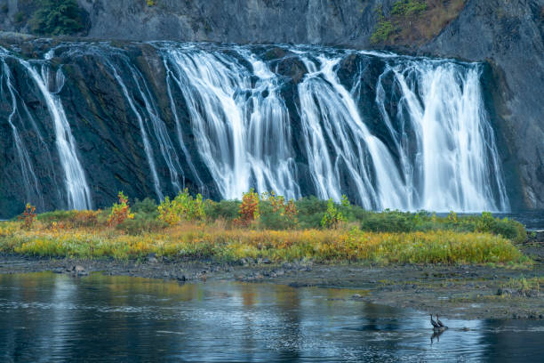 Birds at Cohoes Falls, Mohawk River, Albany, New York, USA