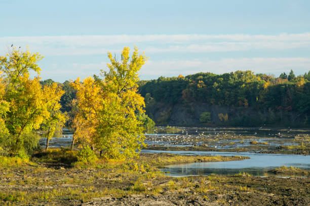 Birds at Cohoes Falls up stream of Mohawk River, Albany, New York, USA