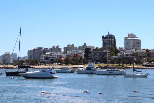 istock Cityscape from the marina 2189451249