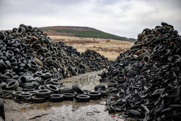 Cut and discarded, the tires form a chaotic mountain, ready for their recycling journey