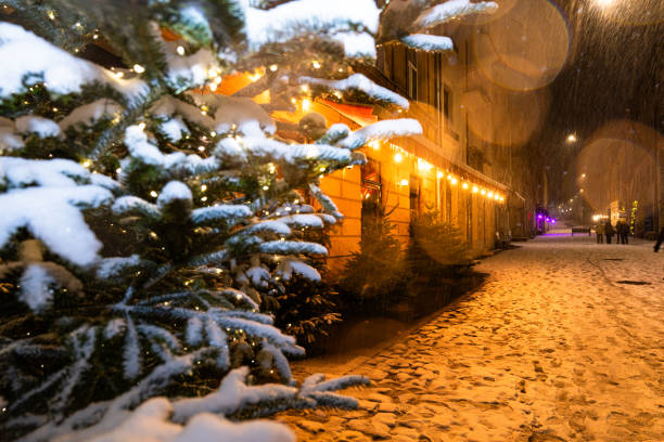 Lviv, Ukraine - December 10, 2024: Lviv street in winter night