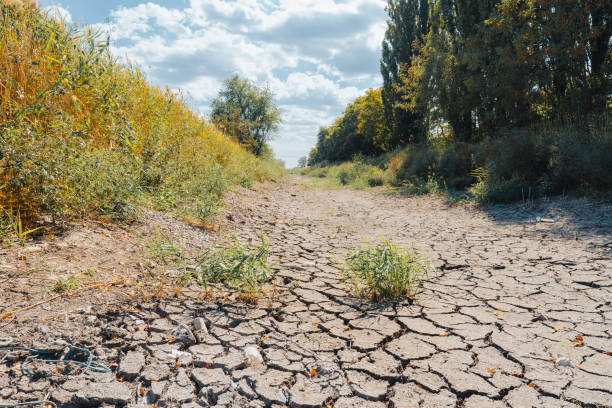 istock Dry river bed on a sunny summer day 2189459617