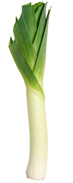 istock Fresh leek on isolated background, ingredient for salad 2189471122