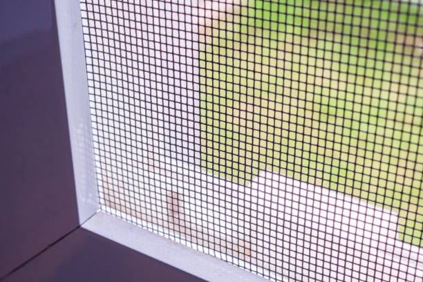 istock mosquito net wire screen on house window protection against insect 2189472734