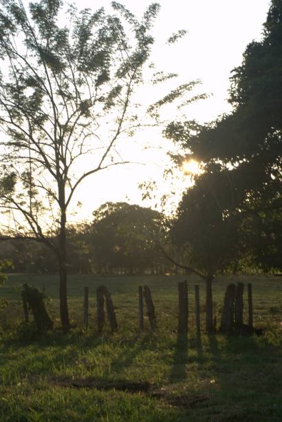 istock Sunsets on the plains of Barinas. 2189481008