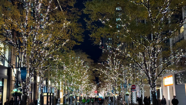 istock The beautiful views in Tokyo 2189481353
