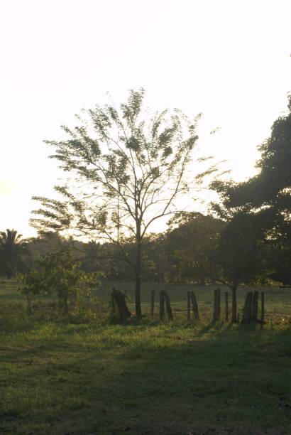 istock Sunsets on the plains of Barinas. 2189481657