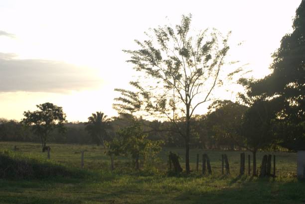 istock Sunsets on the plains of Barinas. 2189482843