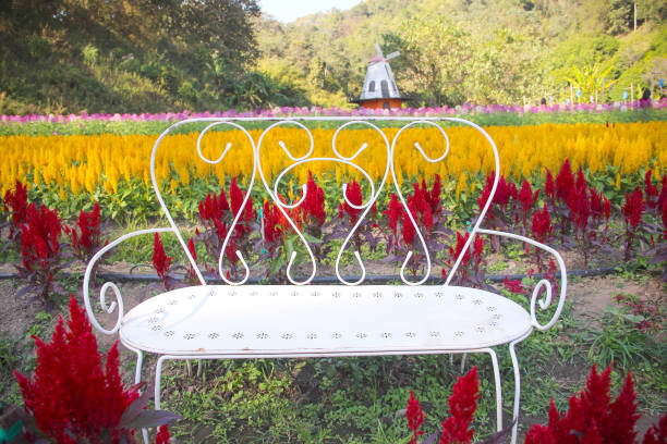 Single empty white bench in colorful flower garden natural garden background