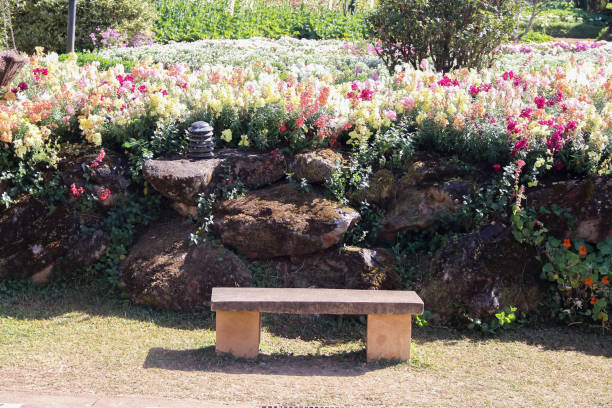 Garden flowers view with single blank stone bench on background