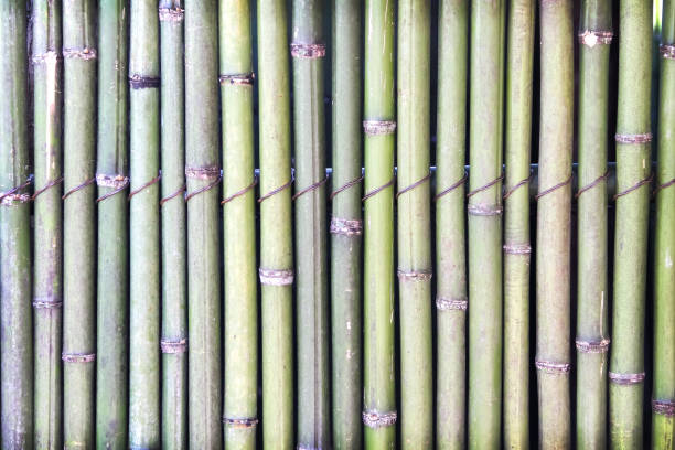 istock Bamboo wood fence wall natural background 2189493409