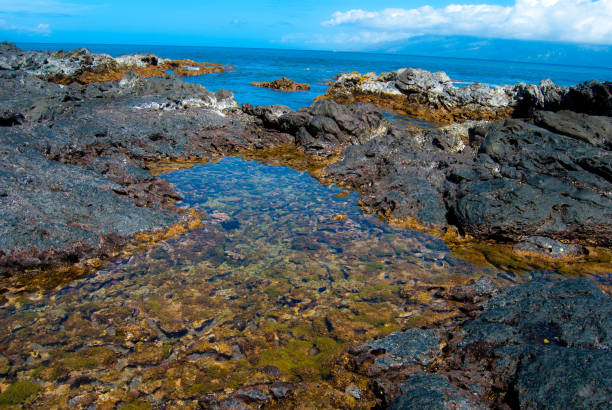istock Hawaii Tide Pools, Maui Coast 2189497235