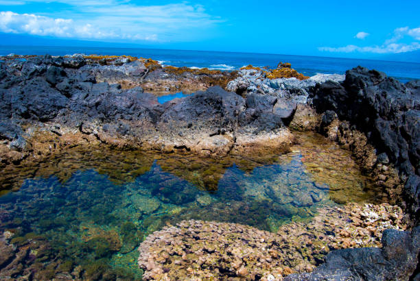 istock Hawaii coast tidepools - Maui 2189497240