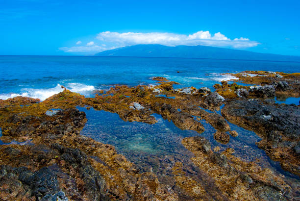 istock Tide pools on the coast of Maui, Hawaii 2189497242