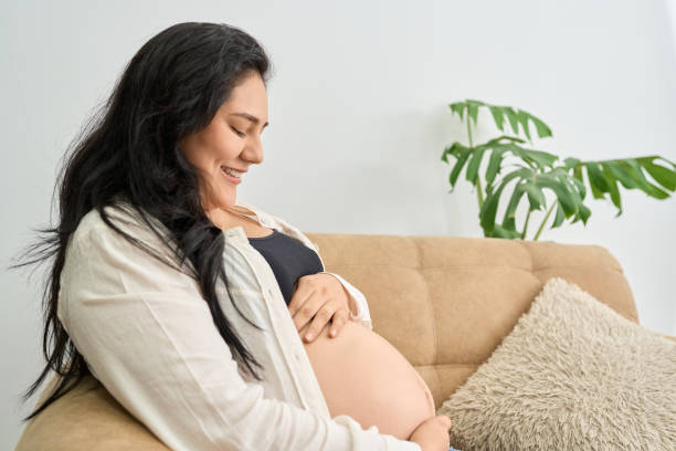 istock Pregnant woman smiling while caressing her belly in an intimate moment on the couch with a decorative plant 2189498121