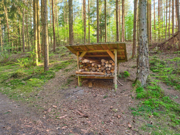 Firewood Shed with firewood stacked outside. Woodpile of pine trees.