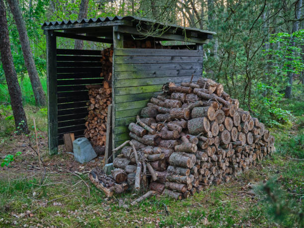 istock Firewood shed with firewood in front 2189500472