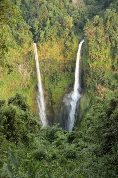 istock Beautiful view of waterfall in forest 2189502818