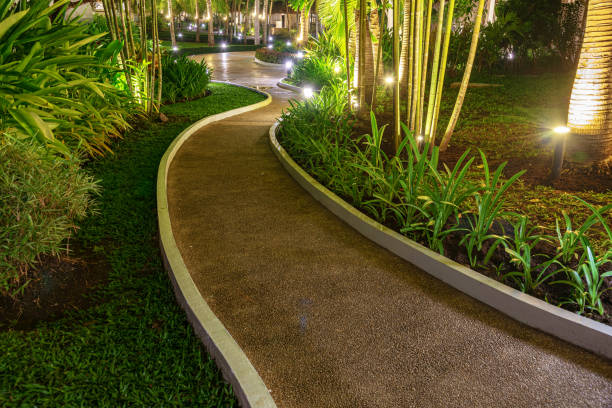 istock Tropical garden in the night 2189509848