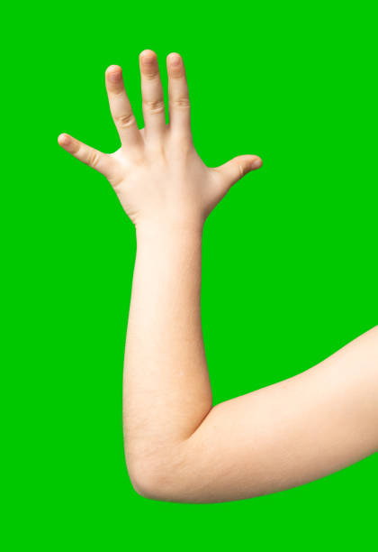 istock A child's hand raised in greeting against a bright green background 2189512245