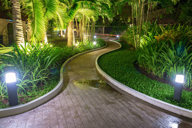 Curved footpath through the beautiful tropical garden during night