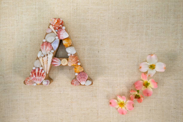 Creative Handmade Letter A Decorated with Seashells, Ocean-Themed Letter Art for Home Decor