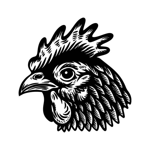 Illustration of chicken head in engraving style. Design element for label, sign, emblem, poster. Vector illustration