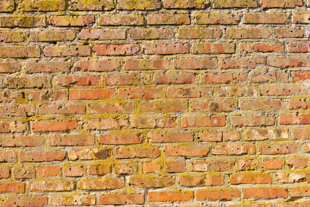 istock A brick wall with a yellowish color and some moss growing on it 2189528647