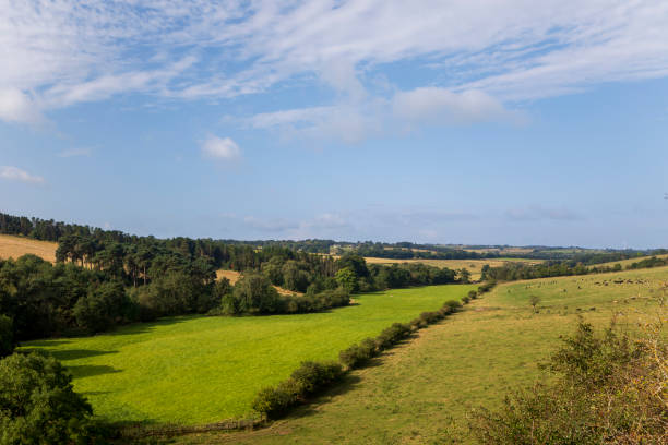 Rural County Durham in summertime