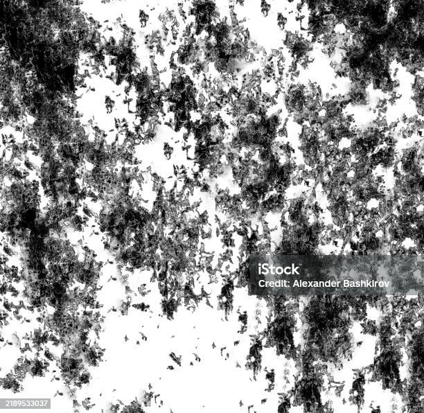 White Background Image With Black Spots Stock Photo - Download Image ...
