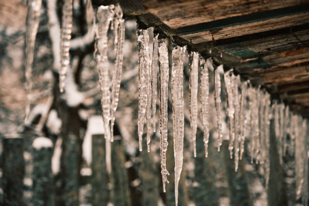 Icicles against winter village background