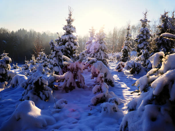 Winter scenery is a beautiful sun and large piles of fresh snow