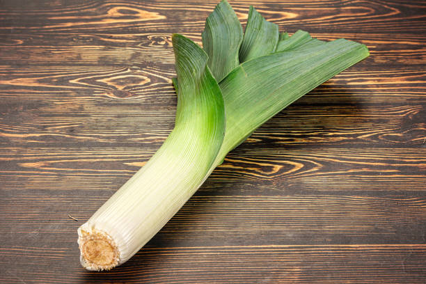 leek isolated on white background. top view