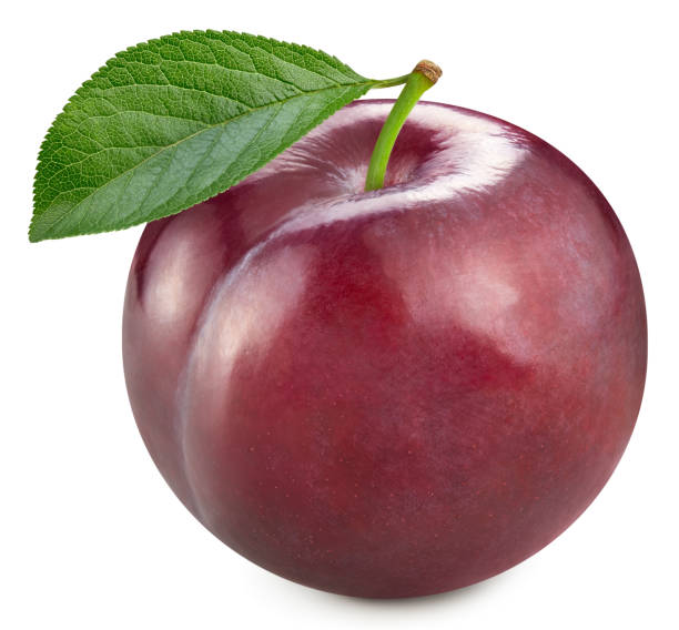 istock Fresh organic plum isolated on white background 2189536437