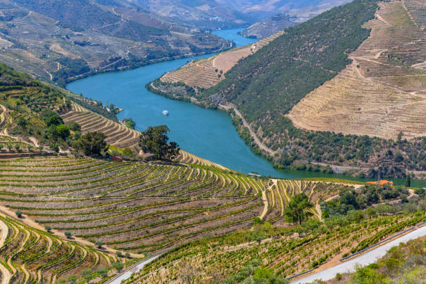 istock douro river valley near Pinhao 2189544816