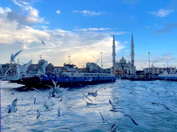 istock Birds in Flight over Port Said Harbor 2189548215
