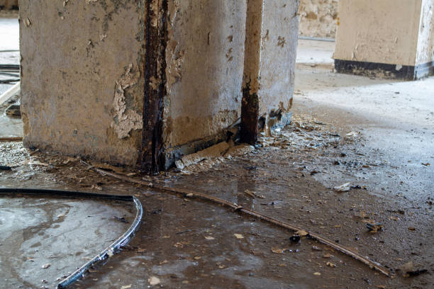 istock Wet basement after a flood damage insurance case 2189548950