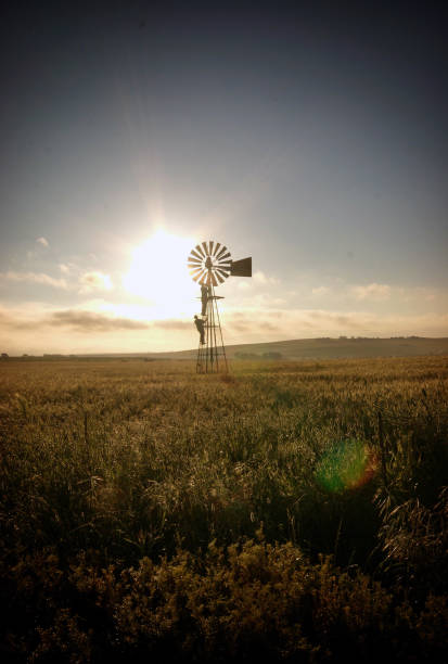 istock Small wooden wind mill in Cape Town 2189549595