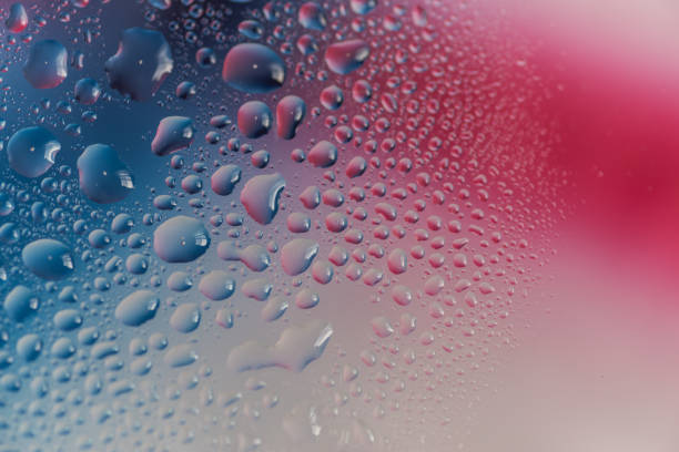 Close-up of red an blue feathers with water drops. Shallow depth of field.