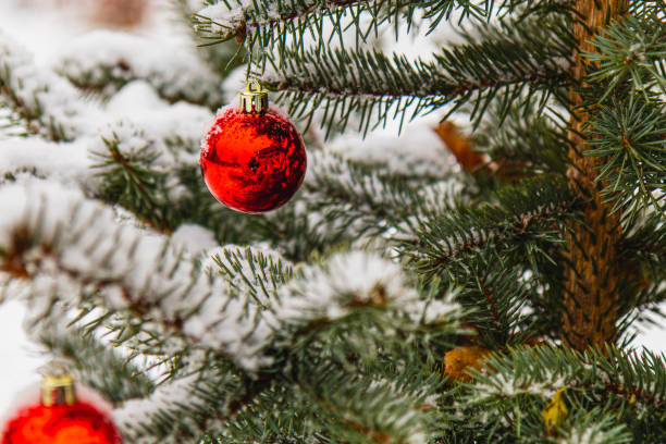 istock A Christmas tree decorated with festive decorations and sprinkled with soft snow 2189553396