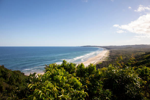 Wide elevated shot of the Byron Bay coastline in Australia on a bright sunny day. There is an abundance of lush foliage in the foreground which gives way to an expanse of turquoise ocean. Waves are breaking on the long beach which curves away into the distance.