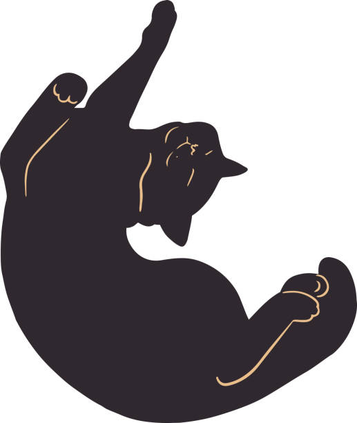Silhouette of a Relaxed Cat with Minimalist Lines A stylish minimalist illustration of a black cat in a curled and playful pose. The design features soft beige accent lines highlighting the cat's form, creating a sense of movement and elegance. Perfect for use in projects related to pets, decor, or mystical themes. The simplicity of the silhouette lends itself to both modern and esoteric concepts, making it versatile for digital and printed designs. cat pose yoga stock illustrations