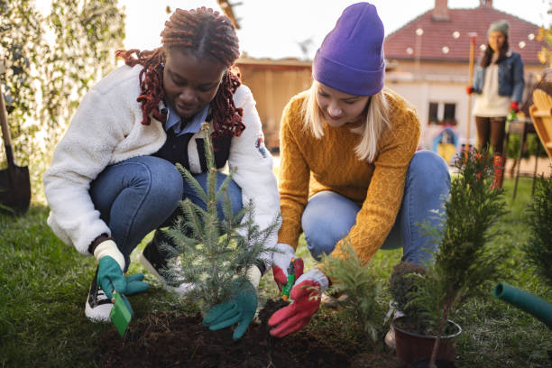 Two young women planting trees in backyard garden