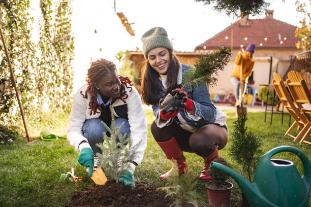 istock Two young women planting trees in backyard garden 2189554958