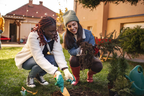 istock Two young women planting a tree in their backyard garden 2189555008