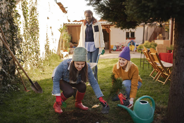 istock Three female friends planting a tree in backyard garden 2189555157