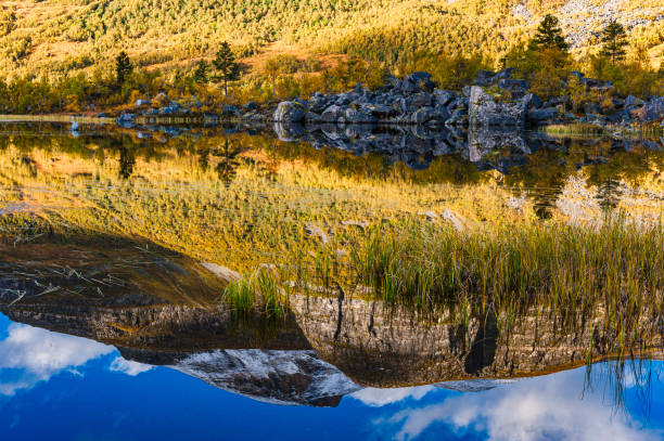 Vibrant autumn colors surround a peaceful lake as mountains rise in the background. The clear water reflects the blue sky and lush foliage, creating a tranquil atmosphere.