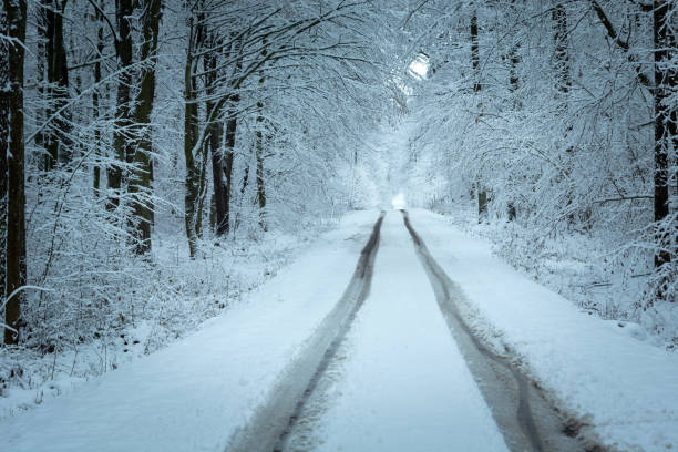 Snow-covered path through the forest in the Taunus
