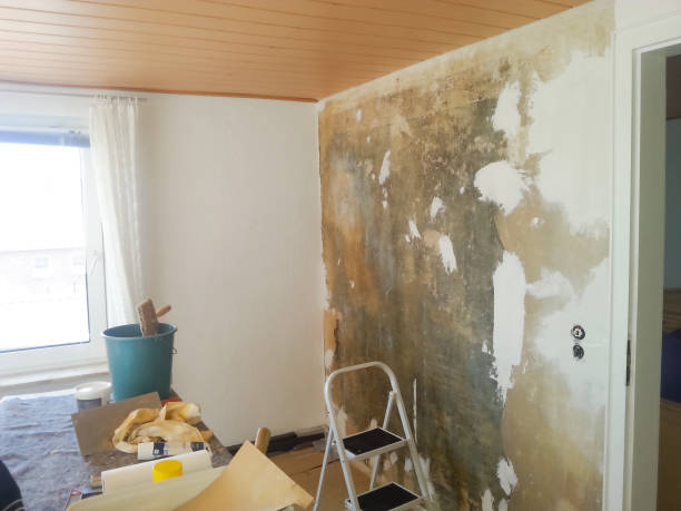 istock Renovation of a damp and moldy wall 2189569987