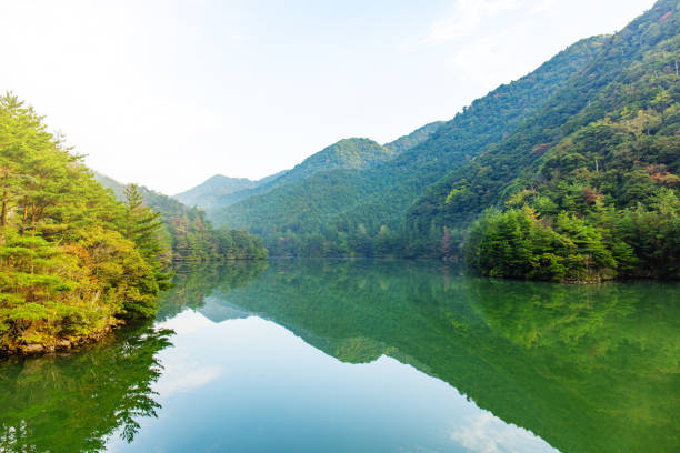 Quiet lake in the mountains